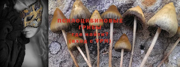 соль курить ск Белокуриха